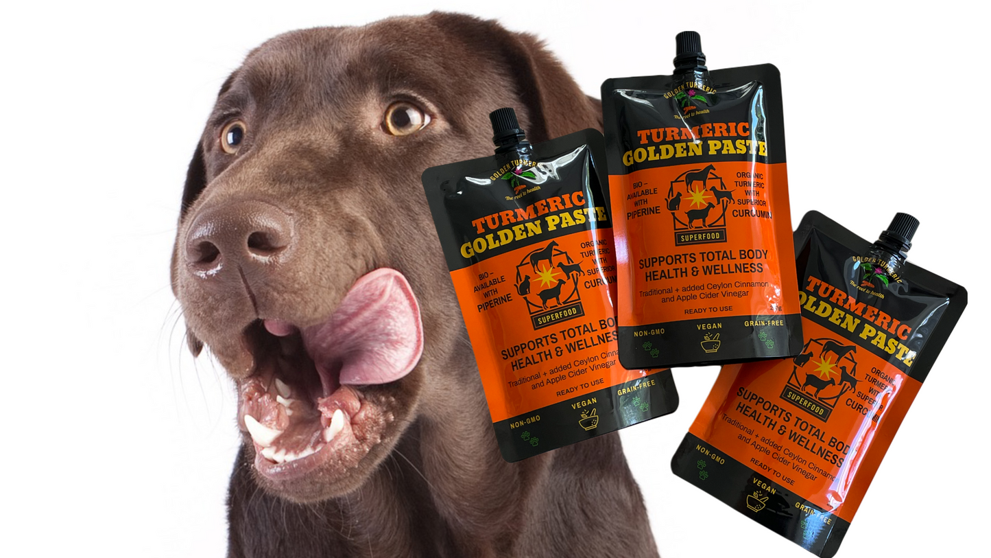 turmeric for dogs