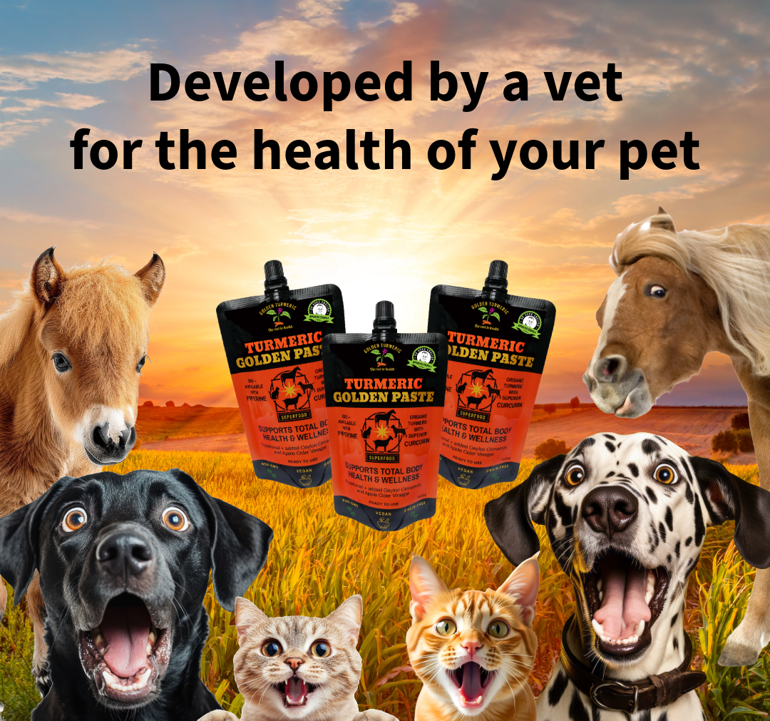 Turmeric for pets and dogs